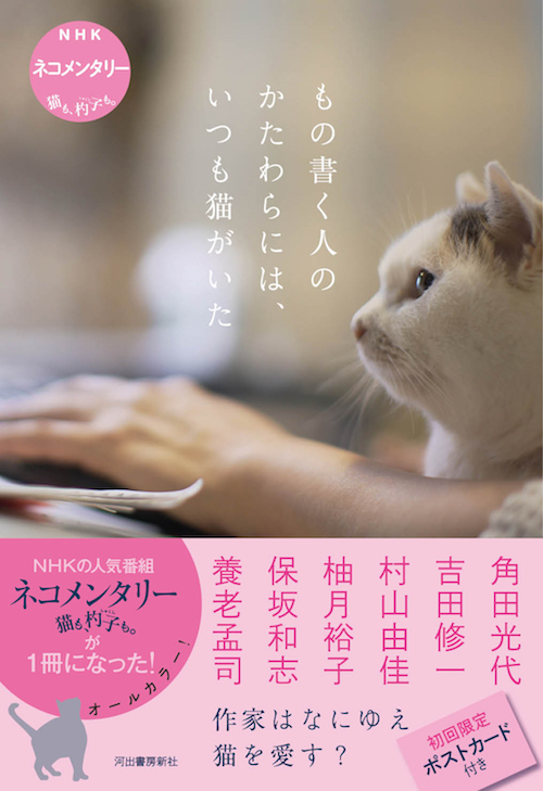 もの書く人のかたわらには、いつも猫がいた