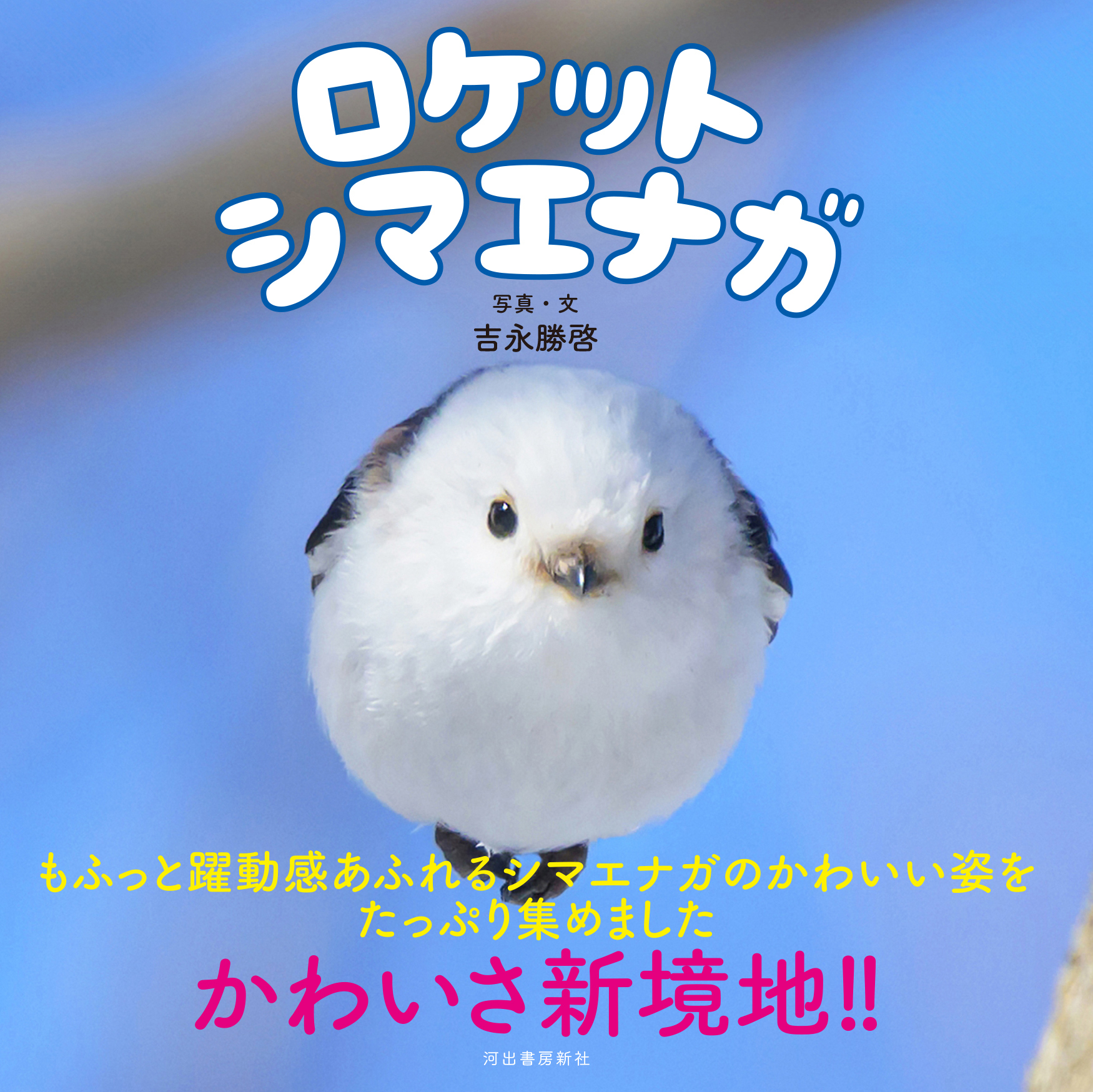 ロケットシマエナガ