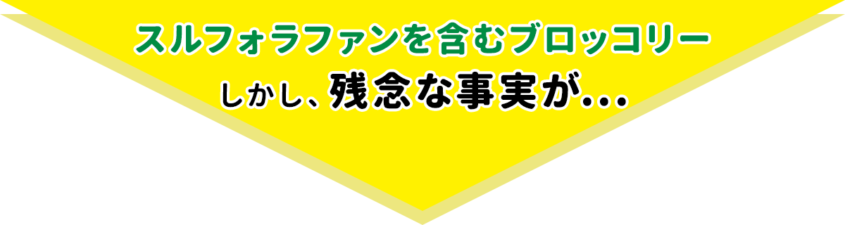 スルフォラファンを含むブロッコリー しかし、残念な事実が...​