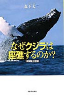 なぜクジラは座礁するのか？