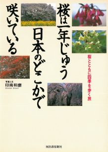 桜は一年じゅう日本のどこかで咲いている