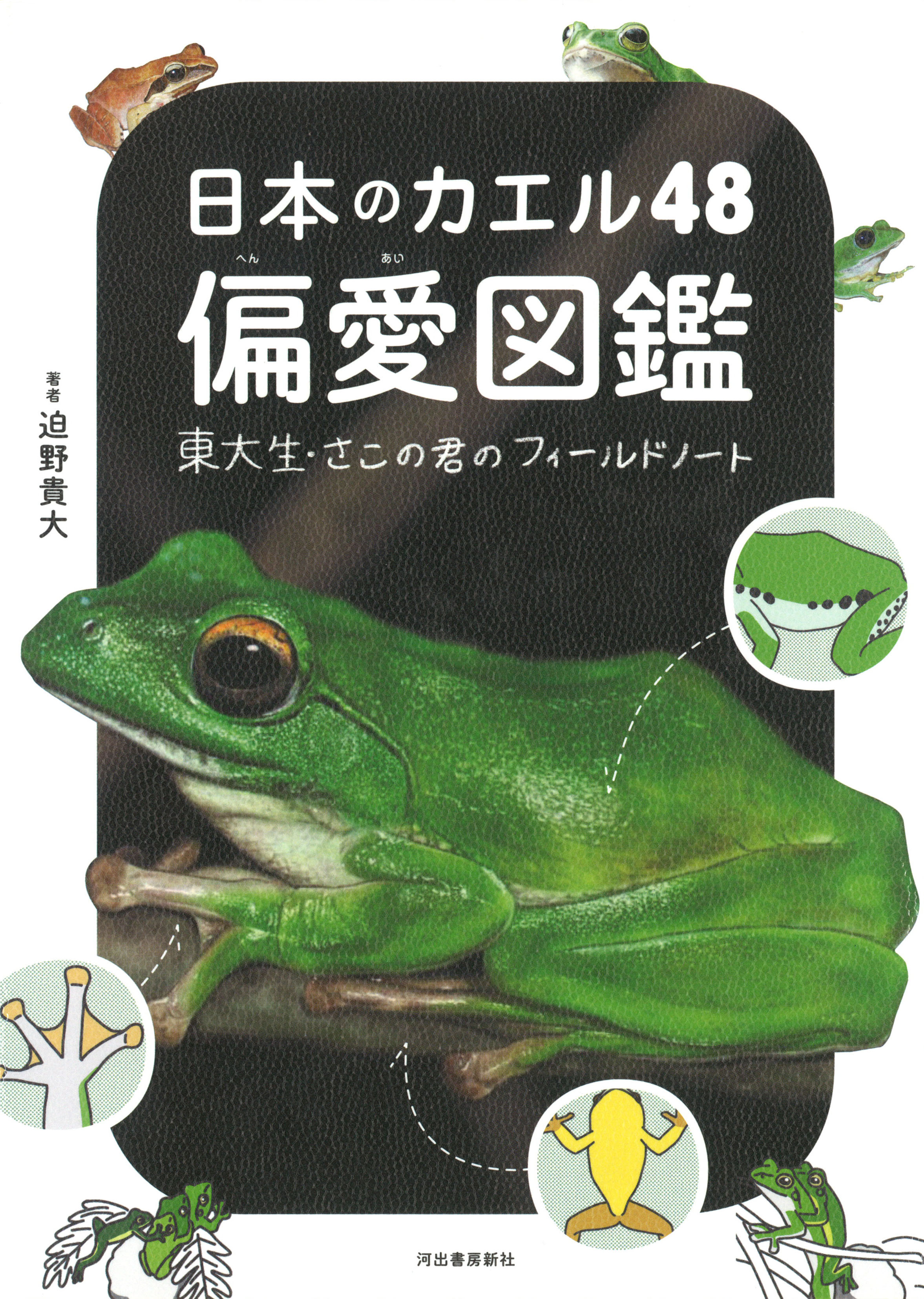 日本のカエル４８　偏愛図鑑