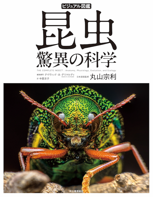 ビジュアル図鑑　昆虫　驚異の科学