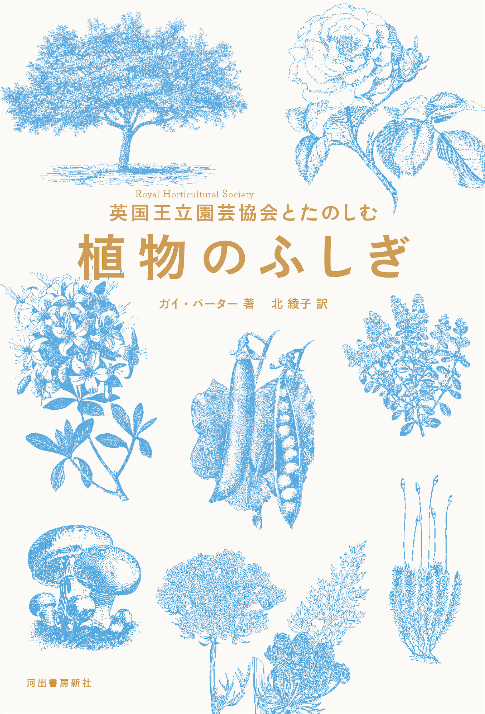 英国王立園芸協会とたのしむ　植物のふしぎ