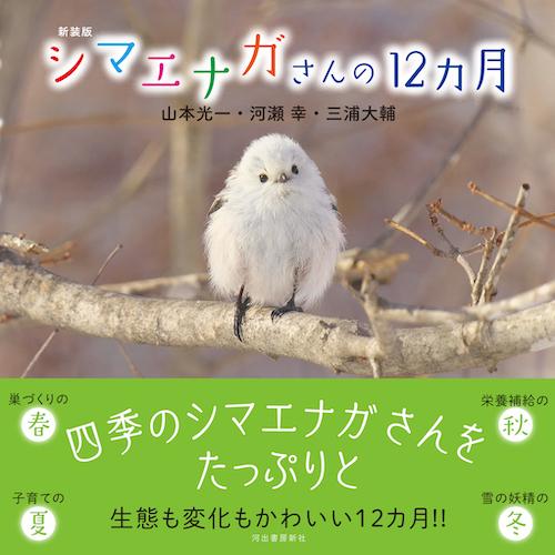 シマエナガさんの１２カ月