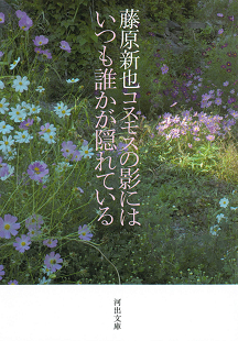 コスモスの影にはいつも誰かが隠れている