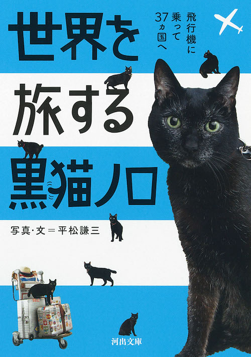 世界を旅する黒猫ノロ