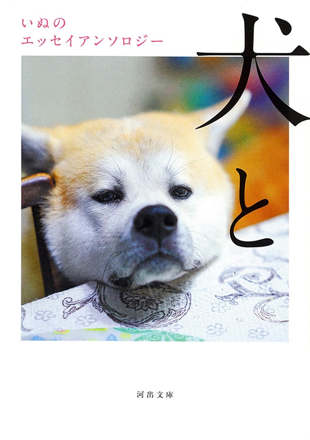 犬と