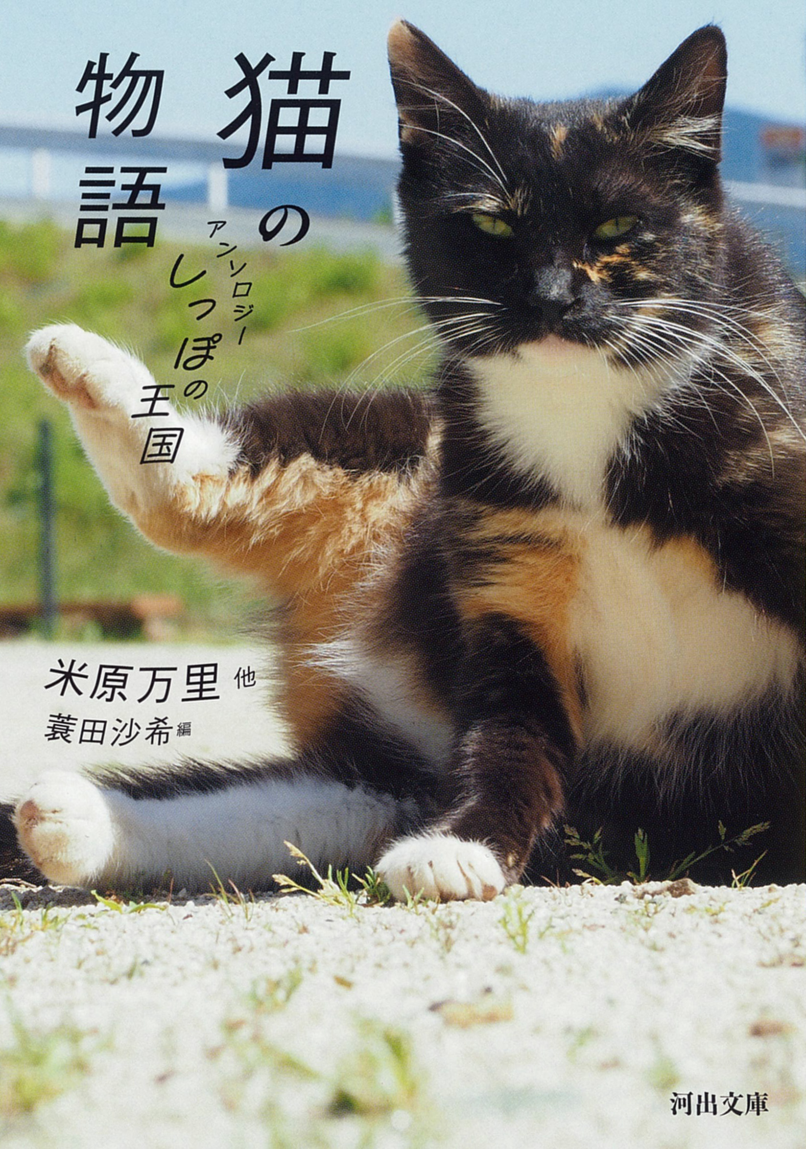 猫の物語