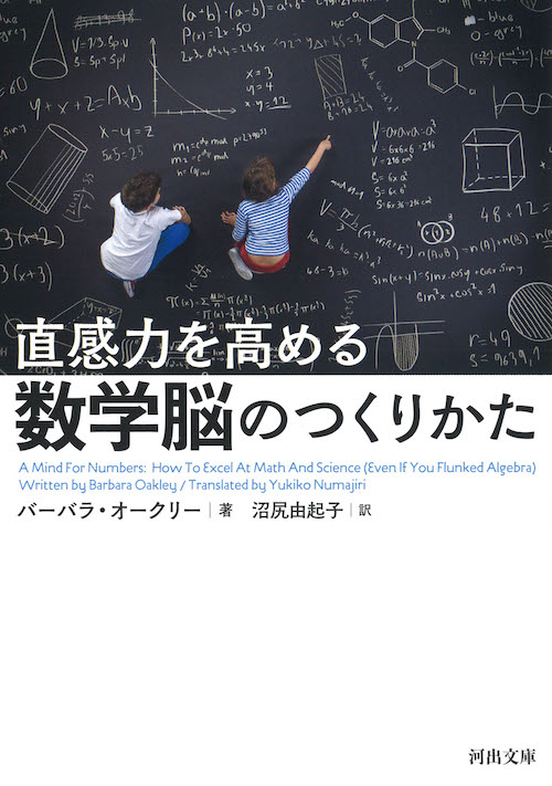 直感力を高める　数学脳のつくりかた