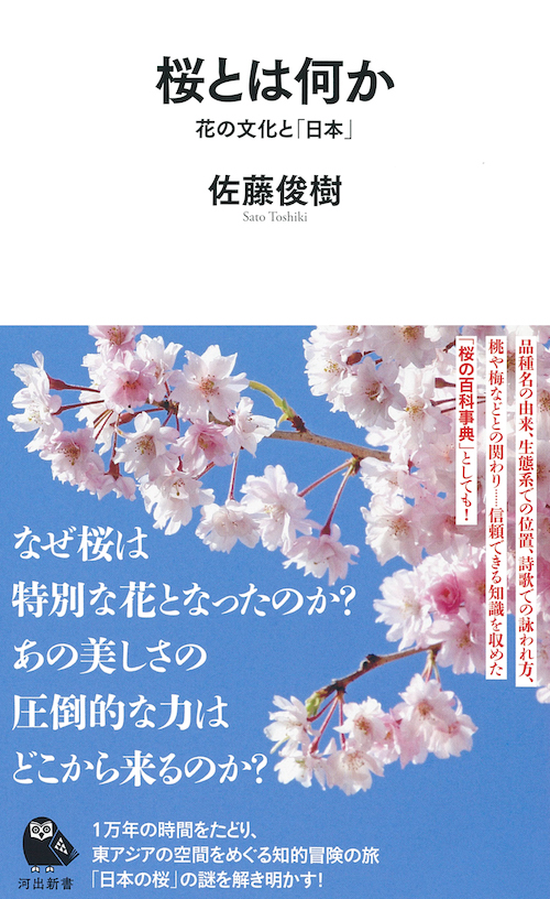 桜とは何か