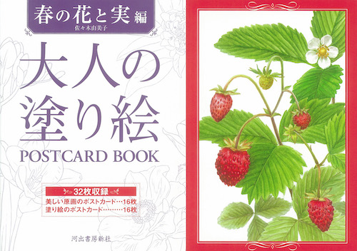 大人の塗り絵　ＰＯＳＴＣＡＲＤ　ＢＯＯＫ　春の花と実編