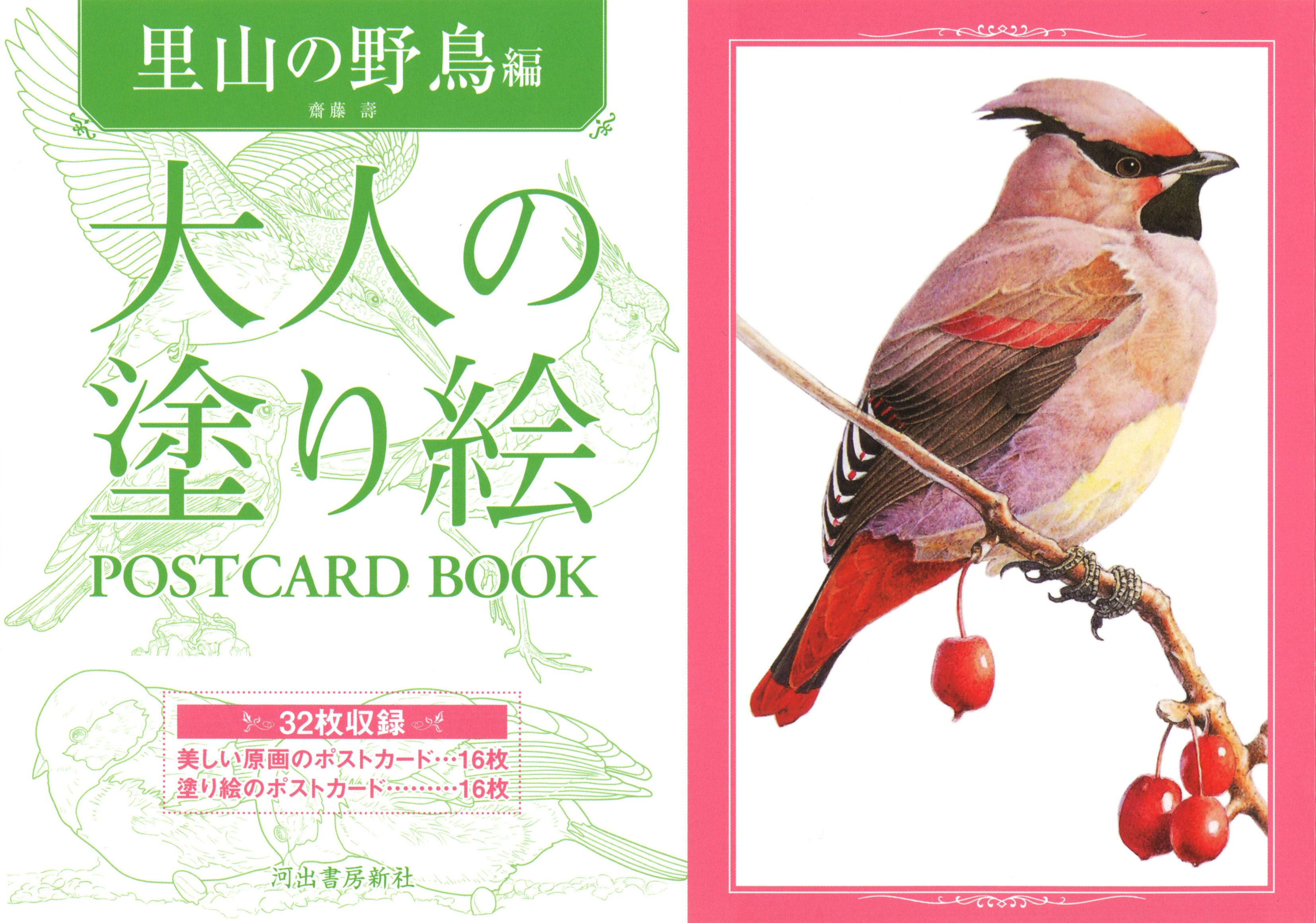 大人の塗り絵　ＰＯＳＴＣＡＲＤ　ＢＯＯＫ　里山の野鳥編