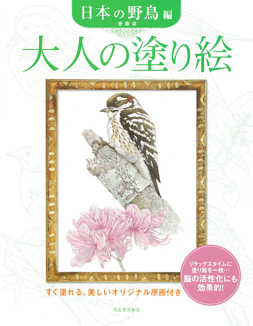 大人の塗り絵　日本の野鳥編