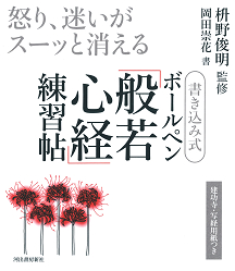 書き込み式　ボールペン「般若心経」練習帖