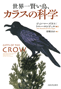 世界一賢い鳥、カラスの科学
