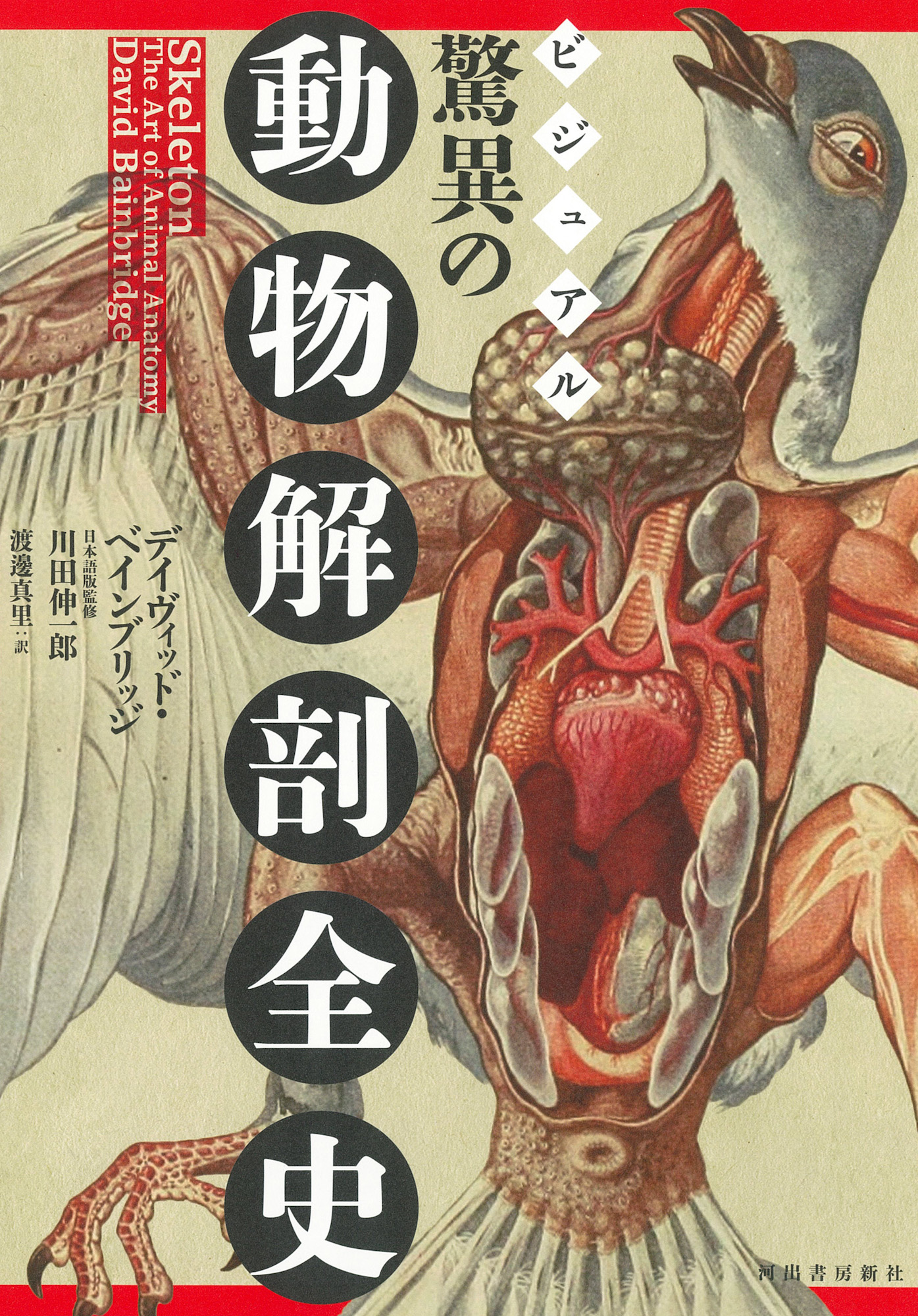 ビジュアル　驚異の動物解剖全史