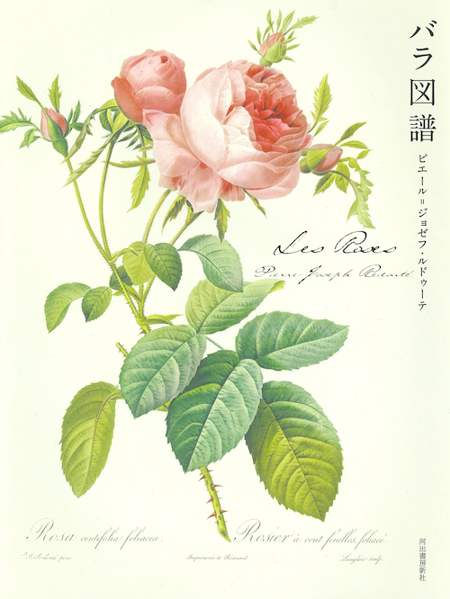 Ｌｅｓ　Ｒｏｓｅｓ　バラ図譜