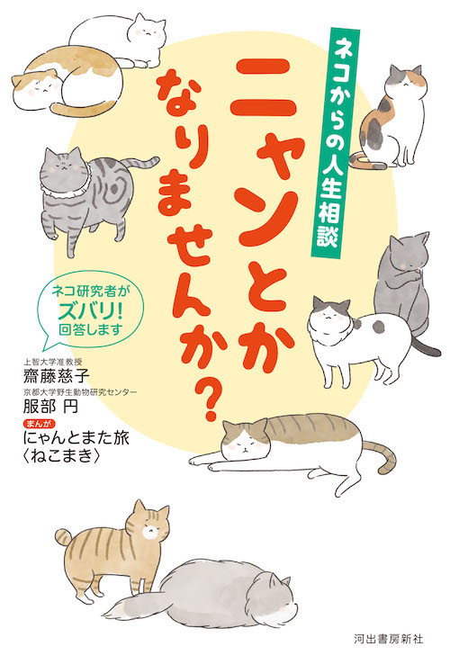 ネコからの人生相談　ニャンとかなりませんか？