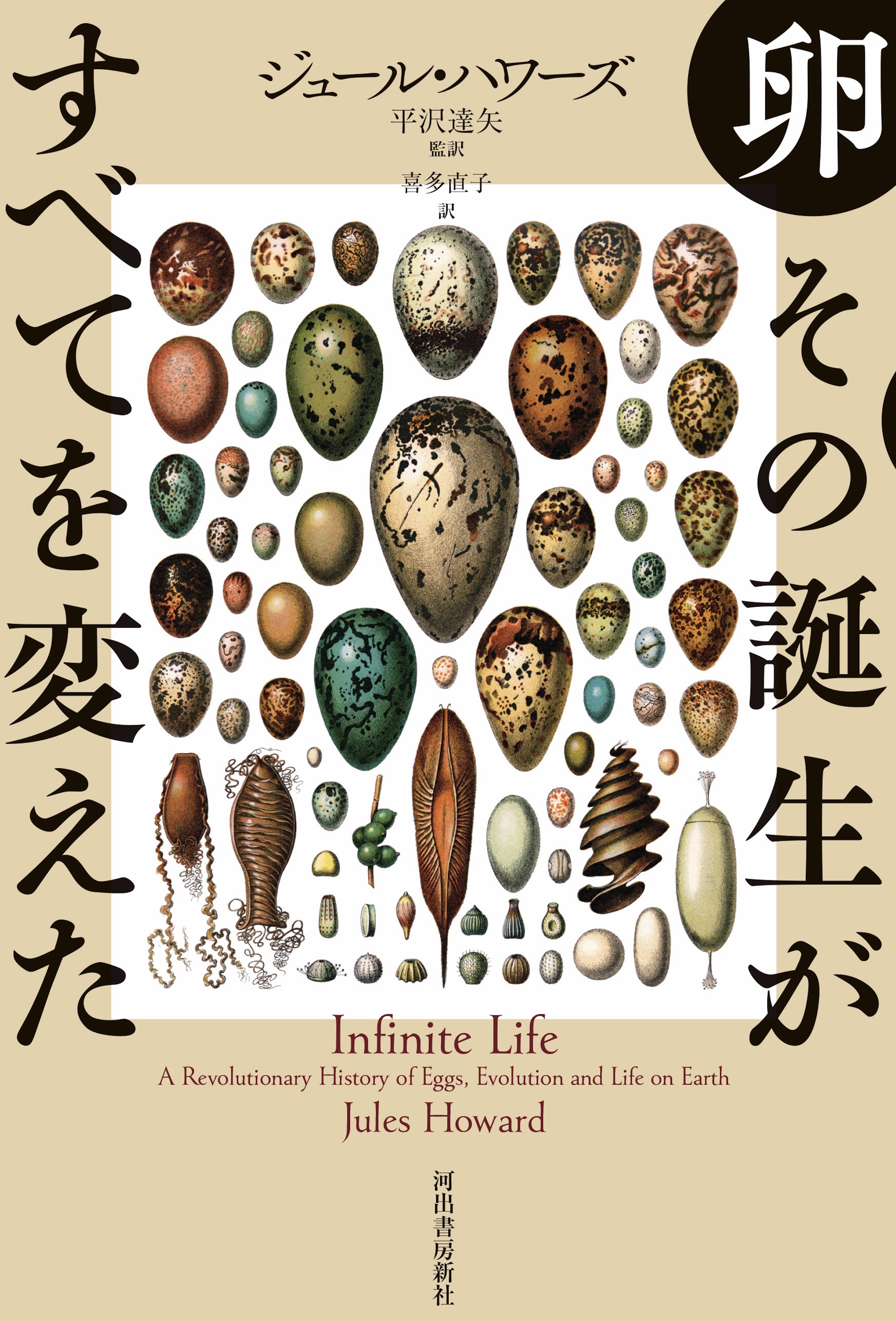 卵　その誕生がすべてを変えた