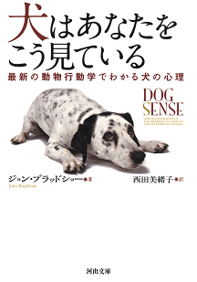 犬はあなたをこう見ている