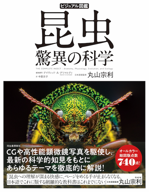 f-551 ※9/ じゅう なぜ?なに?に答える 学習ビジュアル百科 昆虫