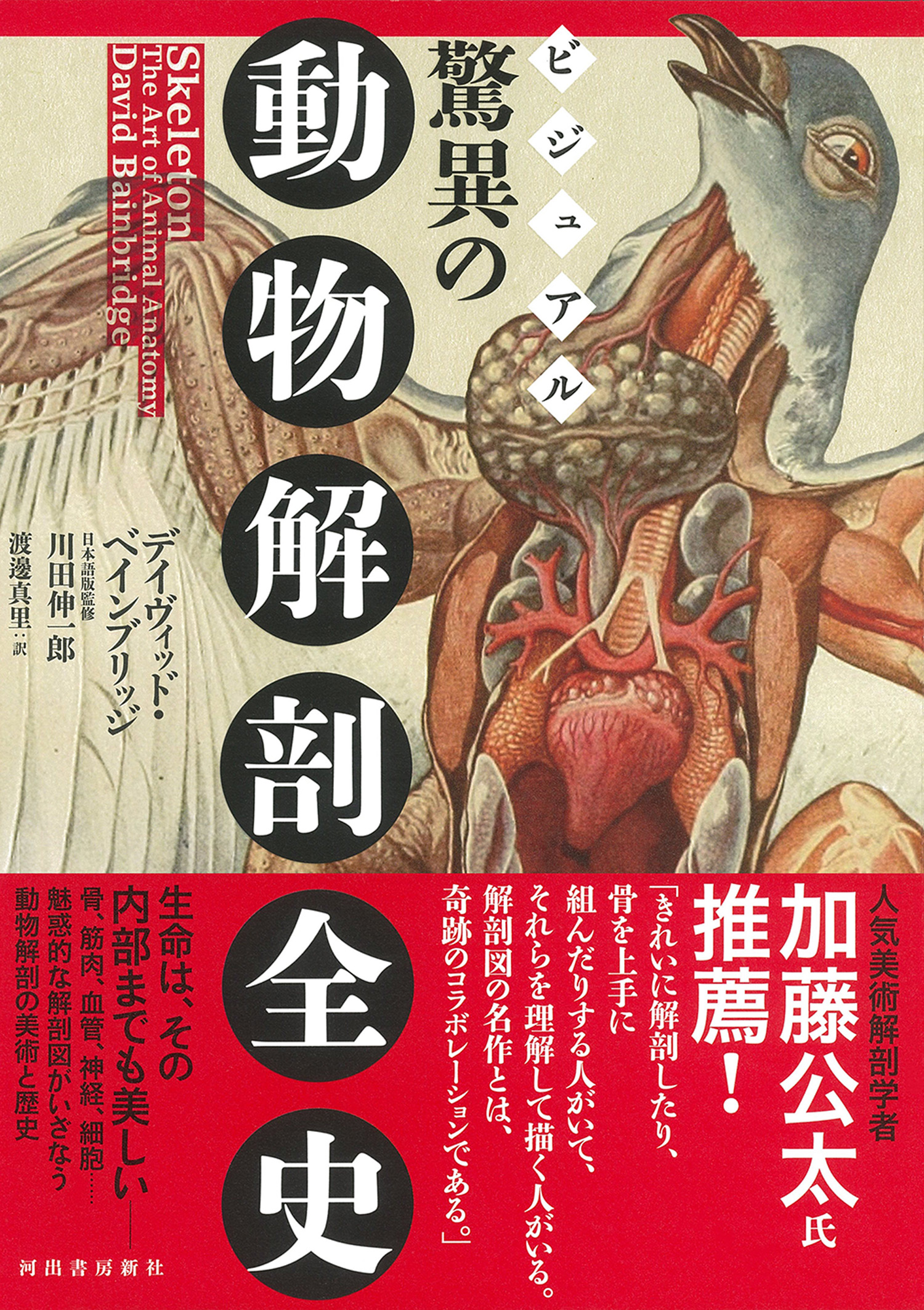 ビジュアル 驚異の動物解剖全史 :デイヴィッド・ベインブリッジ,川田