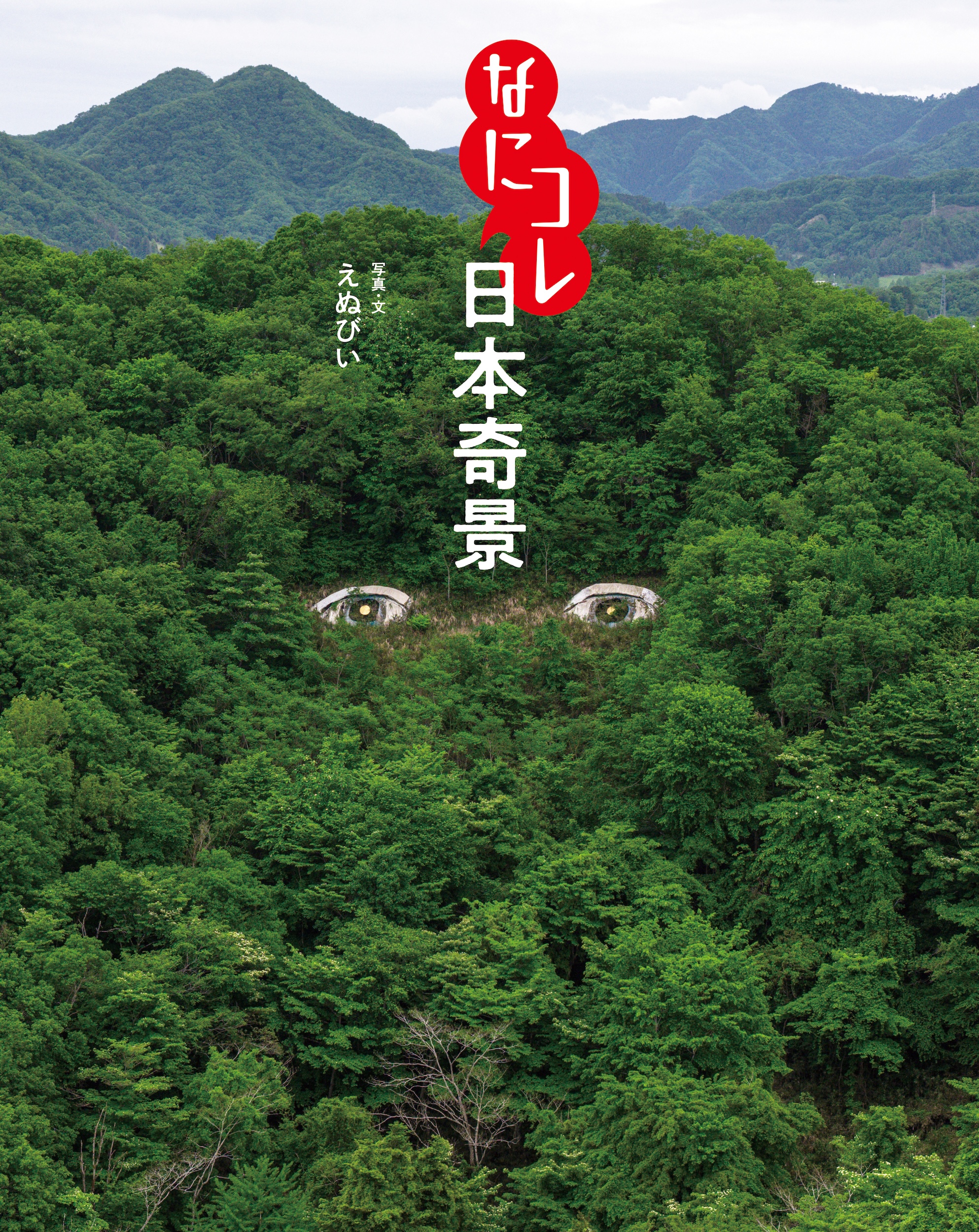 なにコレ日本奇景 :えぬびい | 河出書房新社