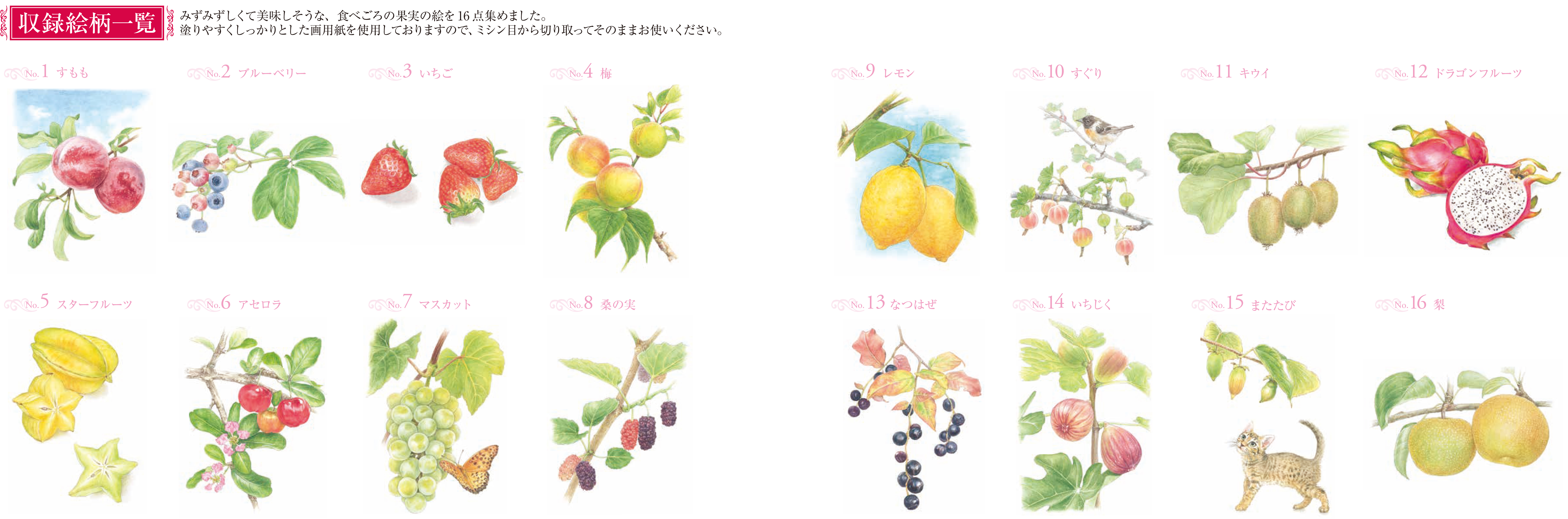 大人の塗り絵 ｐｏｓｔｃａｒｄ ｂｏｏｋ 美味しい果実編 佐々木 由美子 河出書房新社
