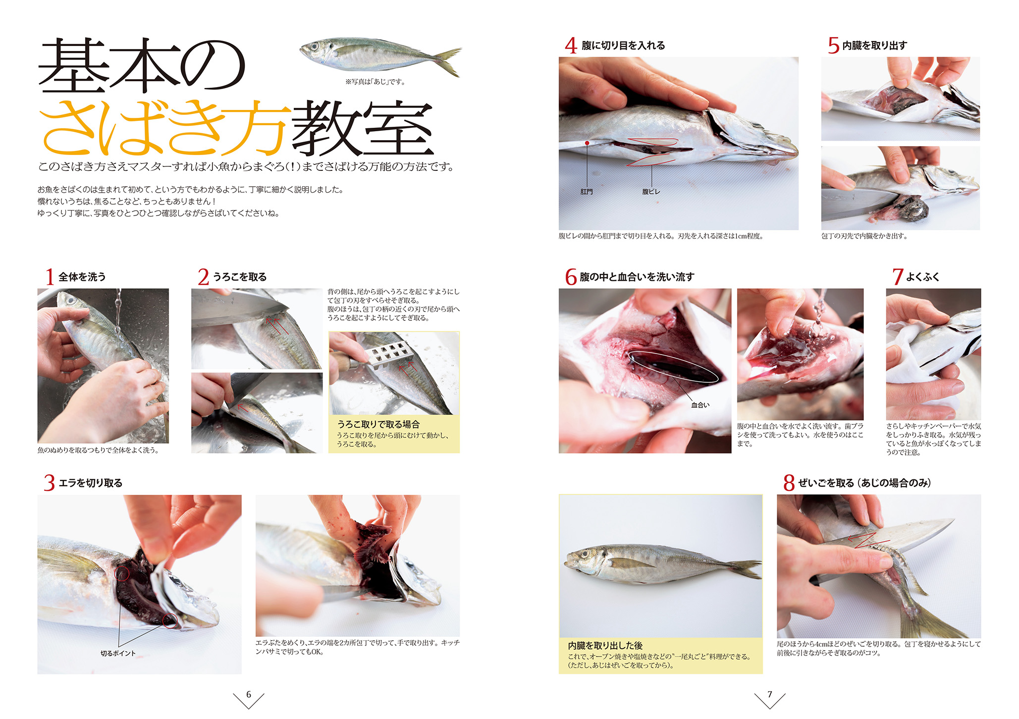 魚を一尾、さばけたら!? 濱田美里のお魚教室