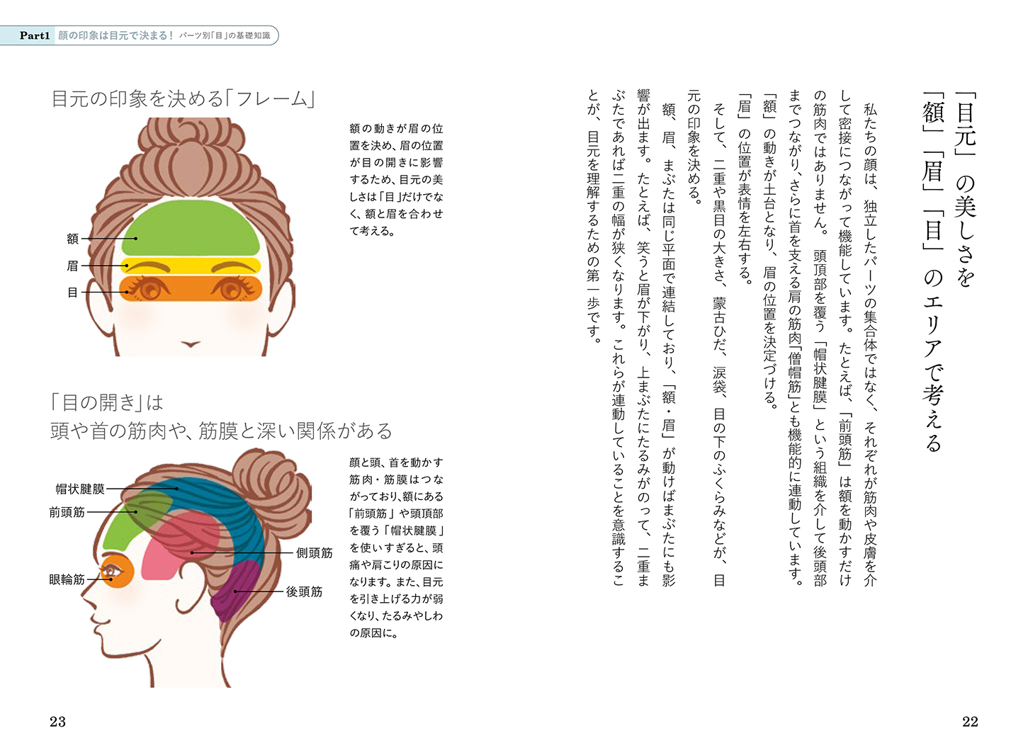 ナチュラル整形の名医が教える10歳若返る目元の教科書 美は目元で決まる