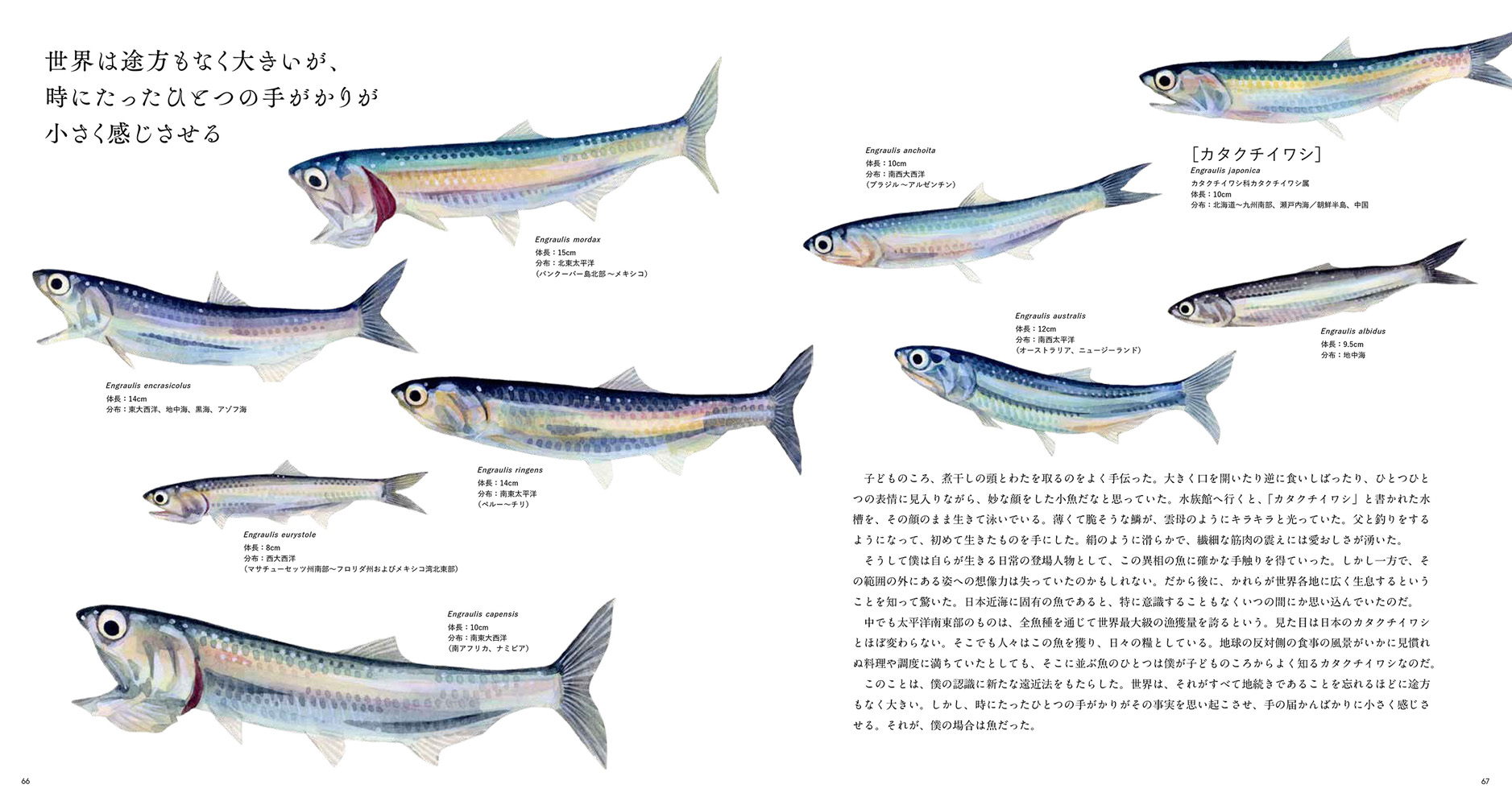 THE FISH 魚と出会う図鑑