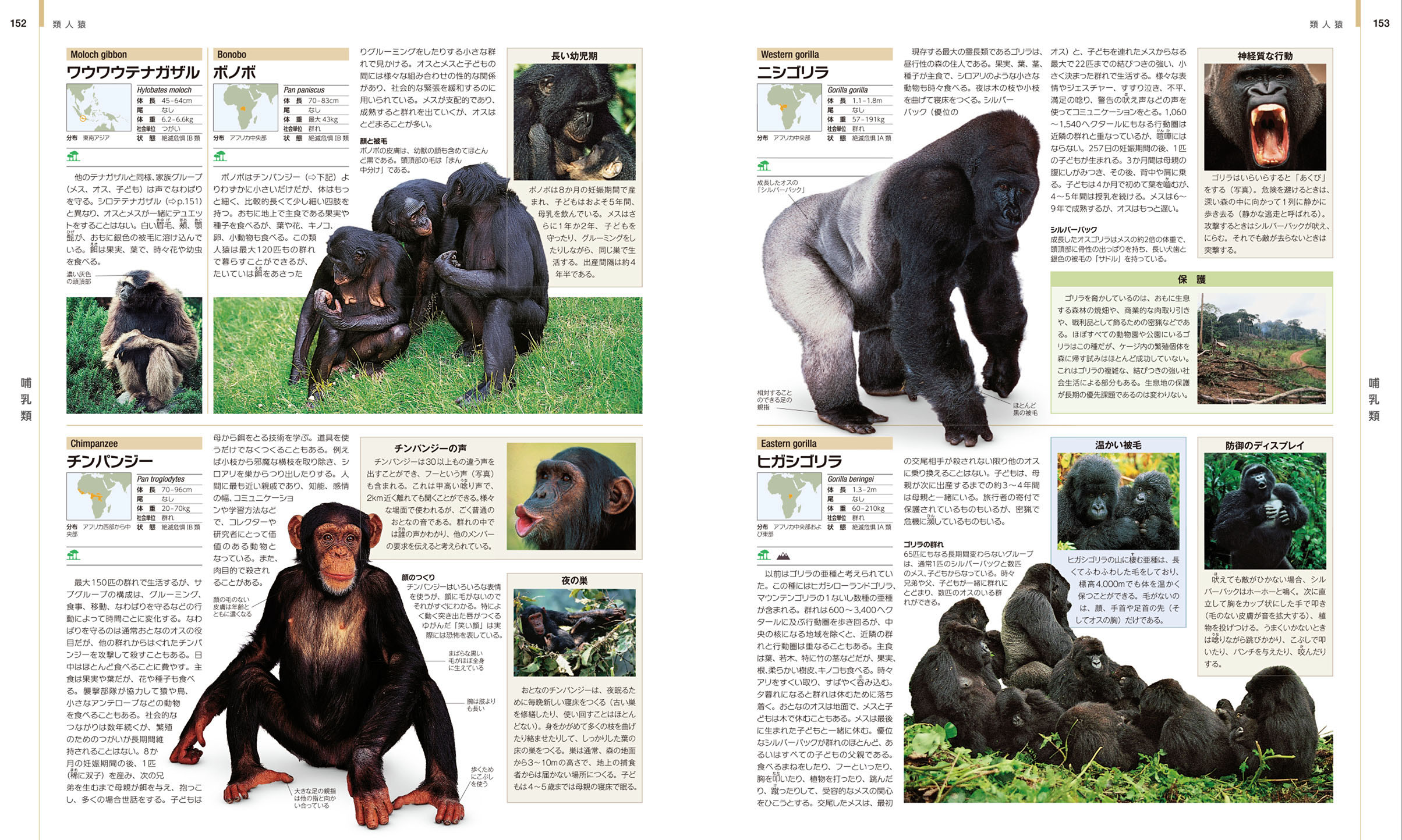 世界動物大図鑑 世界動物大図鑑 - メルカリ