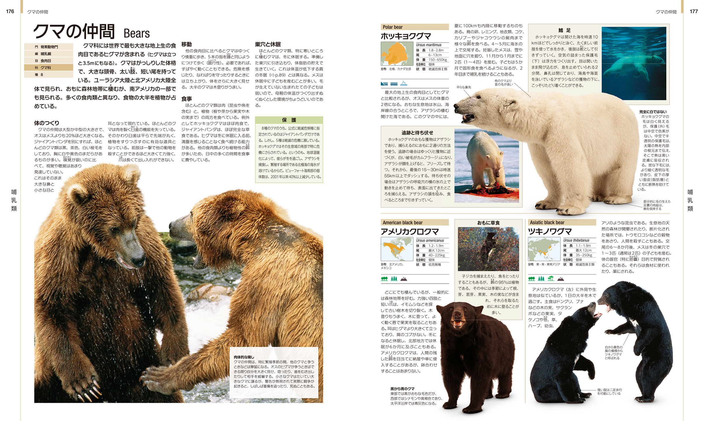 世界動物大図鑑 世界の動物 大図鑑【コンパクト版】 :デイヴィッド・バーニー