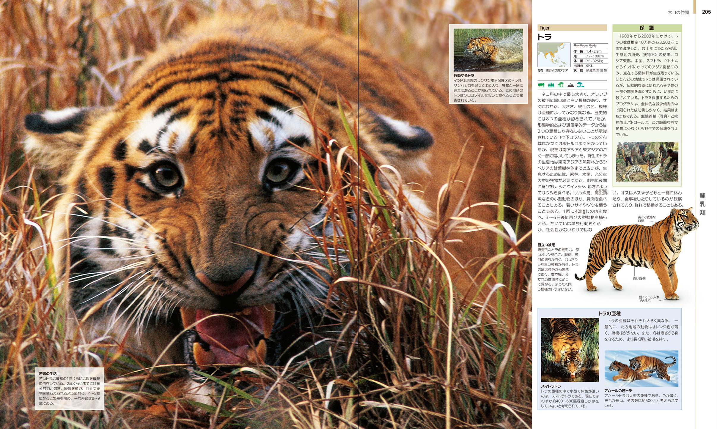 世界の動物 大図鑑【コンパクト版】 :デイヴィッド・バーニー