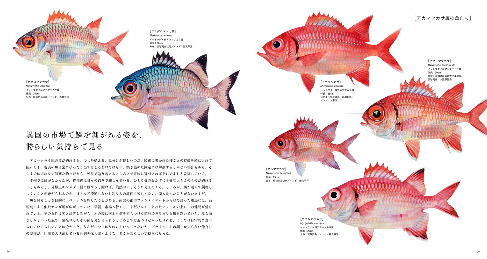 THE FISH 魚と出会う図鑑