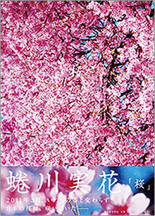 撮り下ろし写真集 蜷川実花「桜」書誌情報