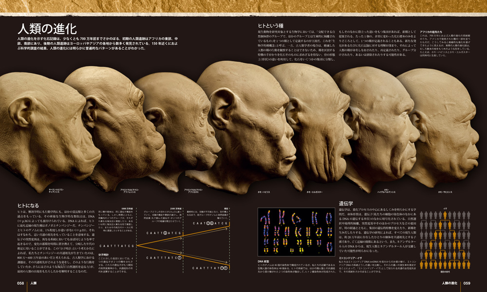 人類の進化 大図鑑 河出書房新社